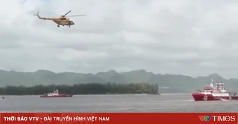 Hơn 4.000 người tham gia diễn tập ứng phó siêu bão quy mô lớn tại Ninh Bình