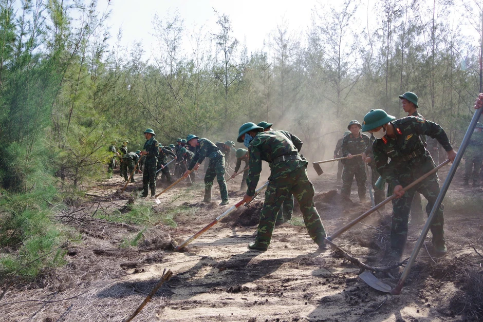 Hơn 500 người khống chế cháy rừng phòng hộ ven biển ở Gia Lai Hơn 500 người khống chế cháy rừng phòng hộ ven biển ở Gia Lai