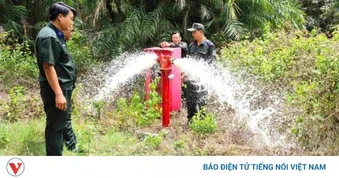 Hơn 50.500ha rừng khô hạn ở Cà Mau có nguy cơ xảy ra cháy
