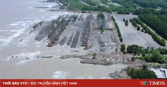 Hơn 56km bờ biển tỉnh Cà Mau trong tình trạng sạt lở nguy hiểm