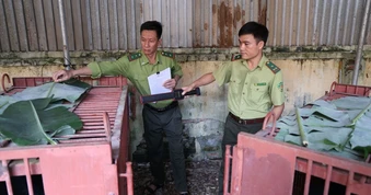 Hơn hai thập kỷ, hoạt động cứu hộ đã hỗ trợ 300 cá thể gấu nuôi nhốt trên cả nước