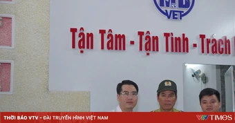 Huế: Hai cá thể rùa quý hiếm được cứu chữa, trở về tự nhiên
