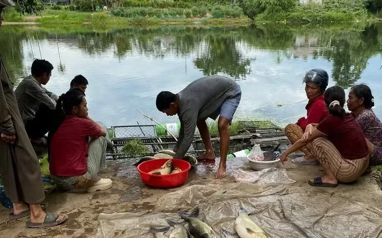 Huế khẩn trương xác định nguyên nhân gần 10 tấn cá nuôi chết hàng loạt