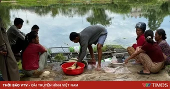 Huế khẩn trương xác định nguyên nhân gần 10 tấn cá nuôi chết hàng loạt