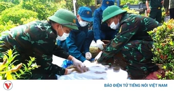 Huế lấy mẫu ADN 1.456 mộ liệt sĩ chưa xác định danh tính