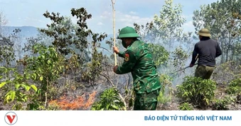 Huế xảy ra 60 vụ cháy rừng, thiệt hại hơn 97 ha rừng