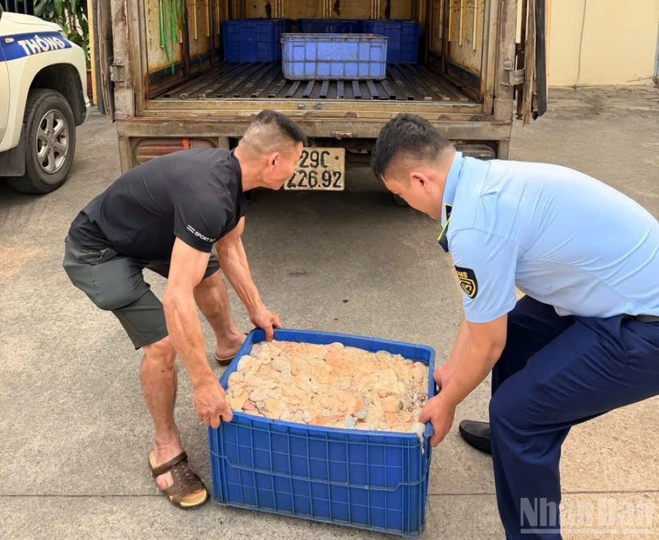 Hưng Yên: Liên tiếp phát hiện các vụ vận chuyển, tiêu thụ “thực phẩm bẩn” Hưng Yên: Liên tiếp phát hiện các vụ vận chuyển, tiêu thụ “thực phẩm bẩn”