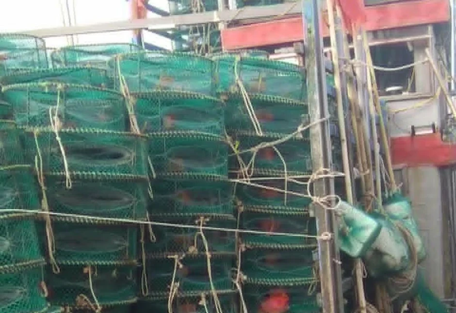 Hưng Yên xử lý 2 tàu cá vi phạm quy định khi khai thác trên biển Hưng Yên xử lý 2 tàu cá vi phạm quy định khi khai thác trên biển