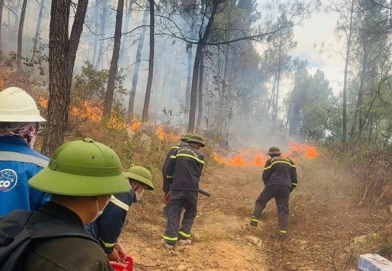Huy động hơn 500 người tham gia chữa cháy rừng tại phường Hải Bình, Thanh Hoá Huy động hơn 500 người tham gia chữa cháy rừng tại phường Hải Bình, Thanh Hoá