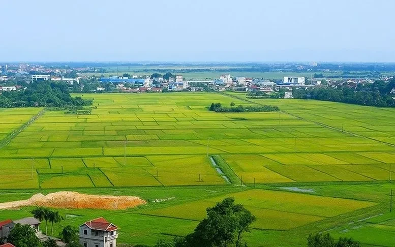 Kế hoạch triển khai cơ chế, chính sách đặc thù để xử lý vi phạm pháp luật về đất đai trước năm 2024 Kế hoạch triển khai cơ chế, chính sách đặc thù để xử lý vi phạm pháp luật về đất đai trước năm 2024