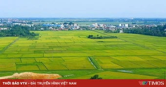Kế hoạch triển khai cơ chế, chính sách đặc thù để xử lý vi phạm pháp luật về đất đai trước năm 2024