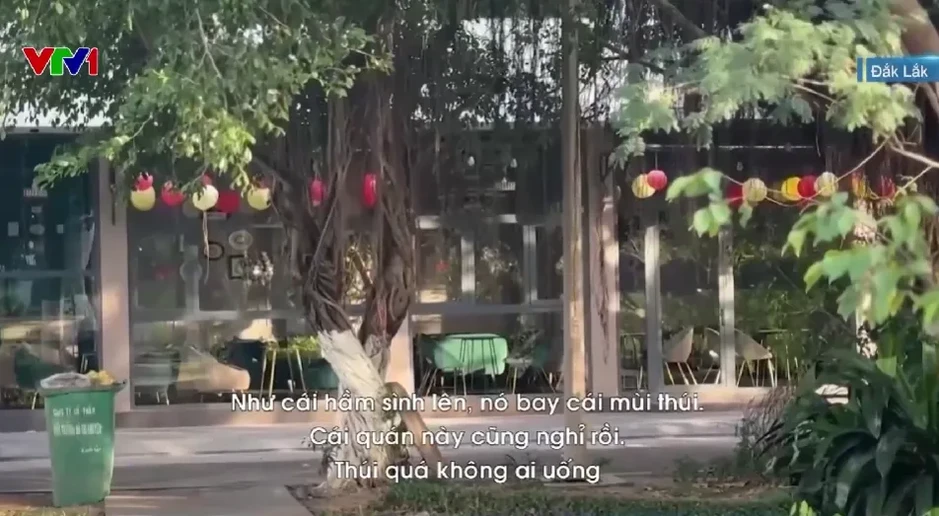 Kênh Bàu Hạ bốc mùi nồng nặc, cuộc sống người dân bị đảo lộn