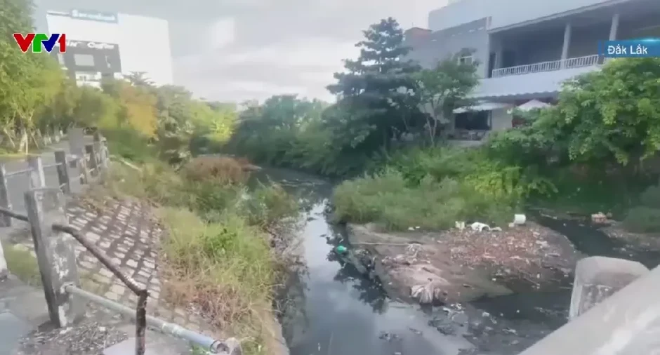 Kênh Bàu Hạ bốc mùi nồng nặc, cuộc sống người dân bị đảo lộn
