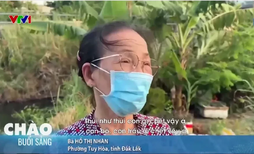 Kênh Bàu Hạ bốc mùi nồng nặc, cuộc sống người dân bị đảo lộn