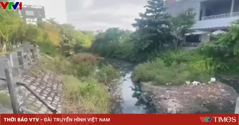Kênh Bàu Hạ bốc mùi nồng nặc, cuộc sống người dân bị đảo lộn