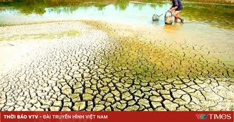 Kết luận của Bộ Chính trị về phòng, chống sụt lún, hạn hán, xâm nhập mặn vùng Đồng bằng sông Cửu Long