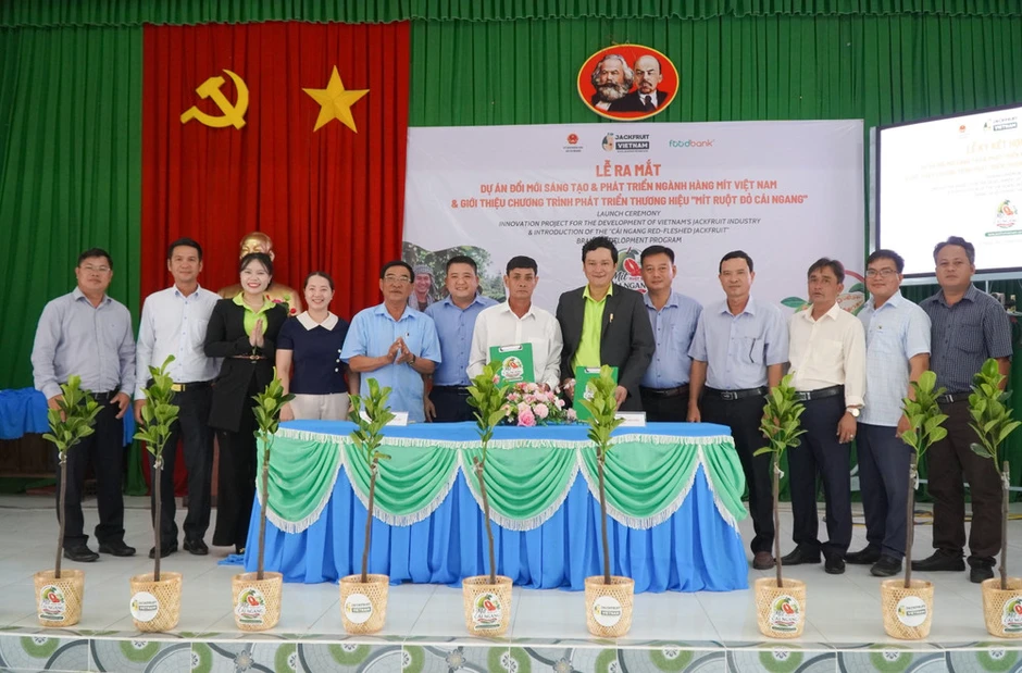 Kết nối nguồn lực xây dựng thương hiệu cho các sản phẩm từ trái mít Kết nối nguồn lực xây dựng thương hiệu cho các sản phẩm từ trái mít