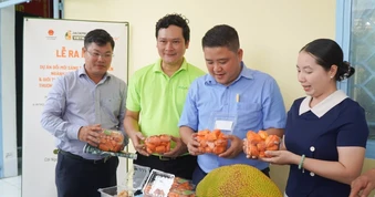 Kết nối nguồn lực xây dựng thương hiệu cho các sản phẩm từ trái mít