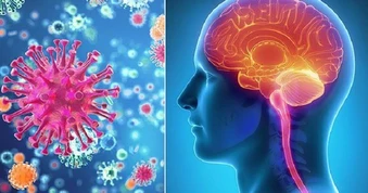 Kết quả xét nghiệm 3 trường hợp nghi viêm não mô cầu ở Cà Mau
