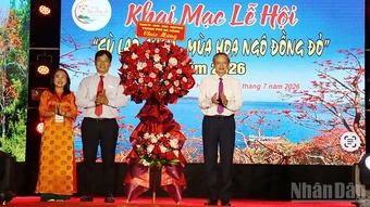Khai mạc Lễ hội “Cù Lao Chàm - Mùa hoa ngô đồng đỏ” năm 2026