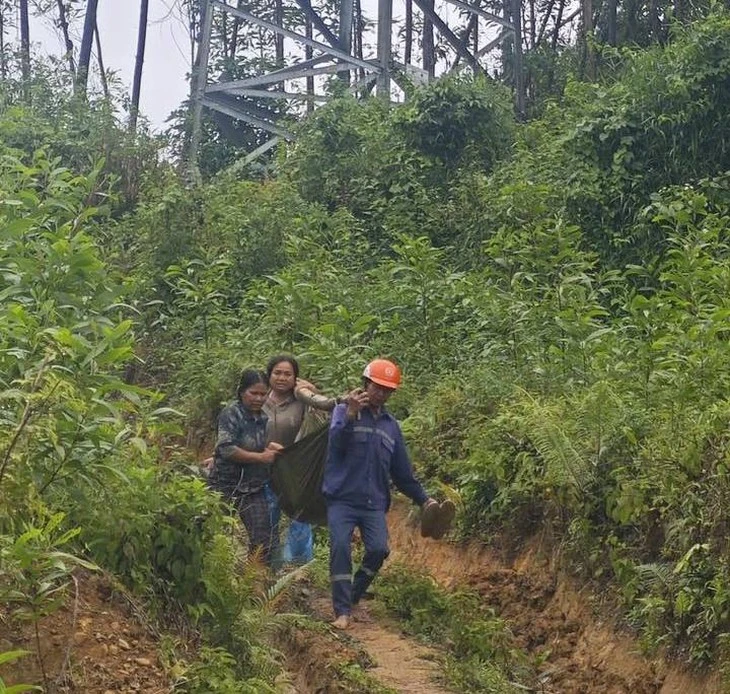 Khai thác keo dưới đường dây 110kV, hai người bị thương nặng do phóng điện Khai thác keo dưới đường dây 110kV, hai người bị thương nặng do phóng điện
