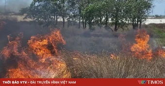 Khẩn trương dập tắt đám cháy rừng trồng tại xã Cam Hồng của tỉnh Quảng Trị