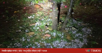 Khẩn trương hỗ trợ nhân dân khắc phục hậu quả mưa đá và giông lốc tại Lào Cai