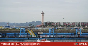 Khẩn trương rà soát các tuyến vận tải đường thủy đưa khách ra đảo