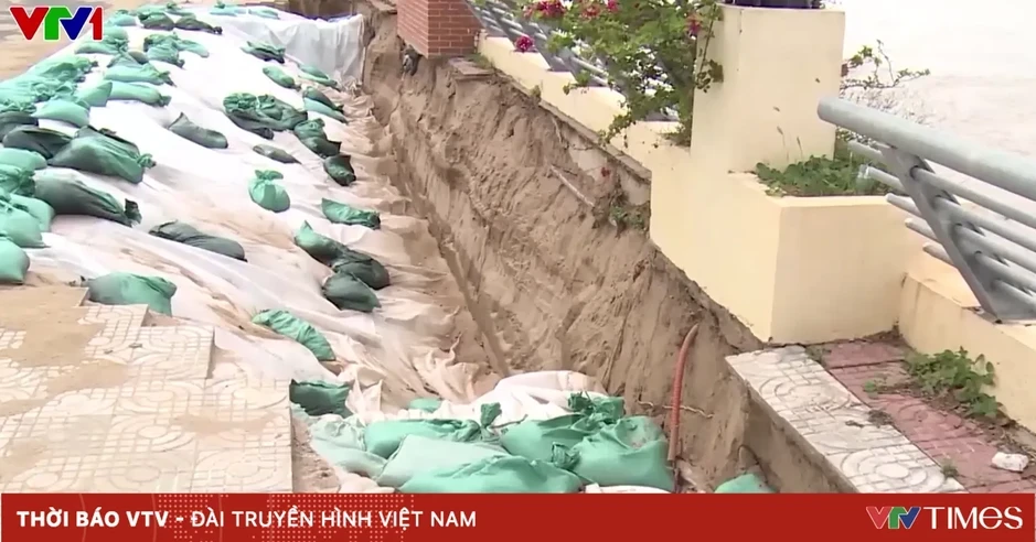 Khẩn trương xử lý điểm sạt lở nguy hiểm trên sông Tiền Khẩn trương xử lý điểm sạt lở nguy hiểm trên sông Tiền