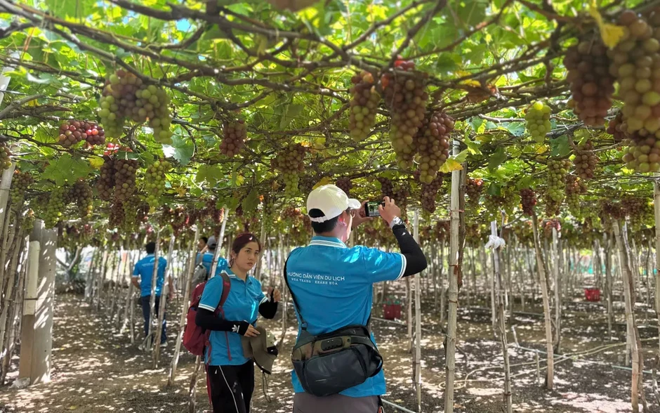 Khánh Hòa hướng đến mô hình “du lịch trải nghiệm OCOP” Khánh Hòa hướng đến mô hình “du lịch trải nghiệm OCOP”