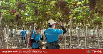 Khánh Hòa hướng đến mô hình “du lịch trải nghiệm OCOP”