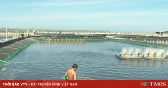 Khánh Hòa tập trung bàn giao mặt bằng dự án điện hạt nhân trước ngày 30/6