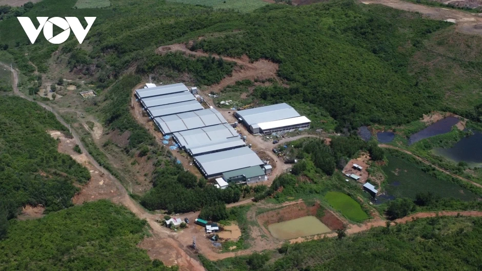 Khánh Hòa yêu cầu xử lý dứt điểm trại heo không phép, xả thải quá 10 lần quy chuẩn Khánh Hòa yêu cầu xử lý dứt điểm trại heo không phép, xả thải quá 10 lần quy chuẩn