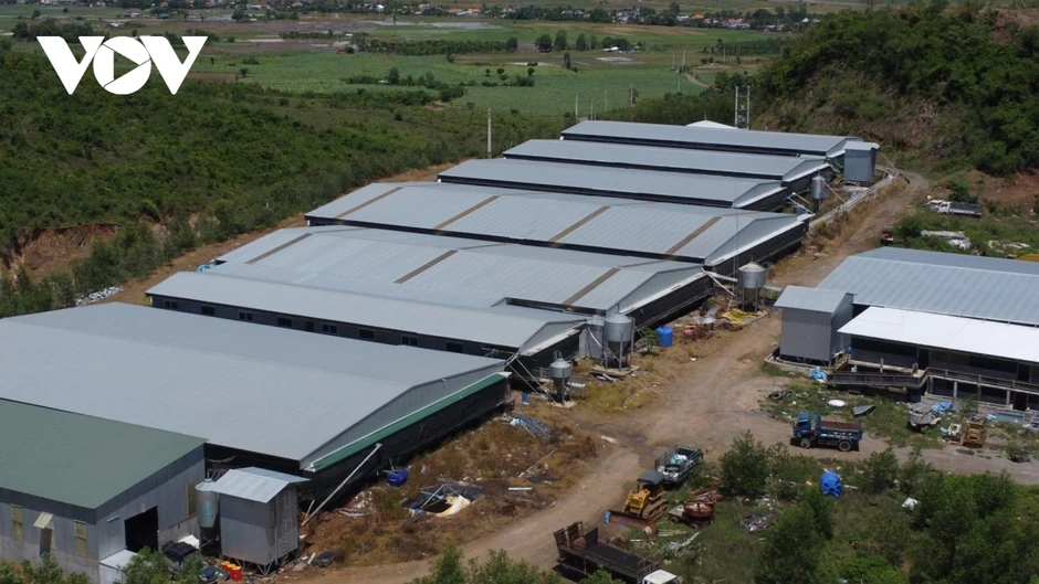 Khánh Hòa yêu cầu xử lý dứt điểm trại heo không phép, xả thải quá 10 lần quy chuẩn Khánh Hòa yêu cầu xử lý dứt điểm trại heo không phép, xả thải quá 10 lần quy chuẩn