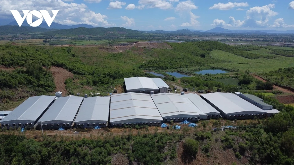 Khánh Hòa yêu cầu xử lý dứt điểm trại heo không phép, xả thải quá 10 lần quy chuẩn Khánh Hòa yêu cầu xử lý dứt điểm trại heo không phép, xả thải quá 10 lần quy chuẩn