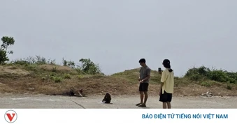 Khỉ hoang dã tấn công nhiều du khách trên đường bờ biển ở Đắk Lắk