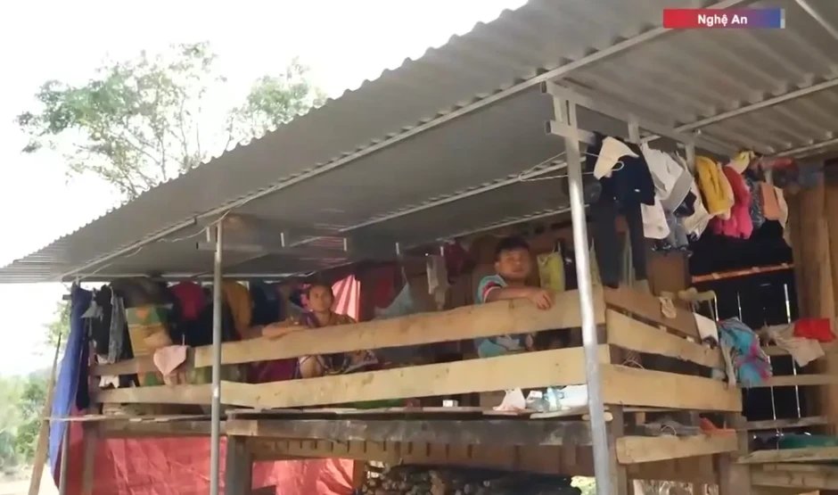 Khó khăn tái định cư, hàng chục hộ dân ở Nghệ An sống tạm bợ sau mưa lũ Khó khăn tái định cư, hàng chục hộ dân ở Nghệ An sống tạm bợ sau mưa lũ
