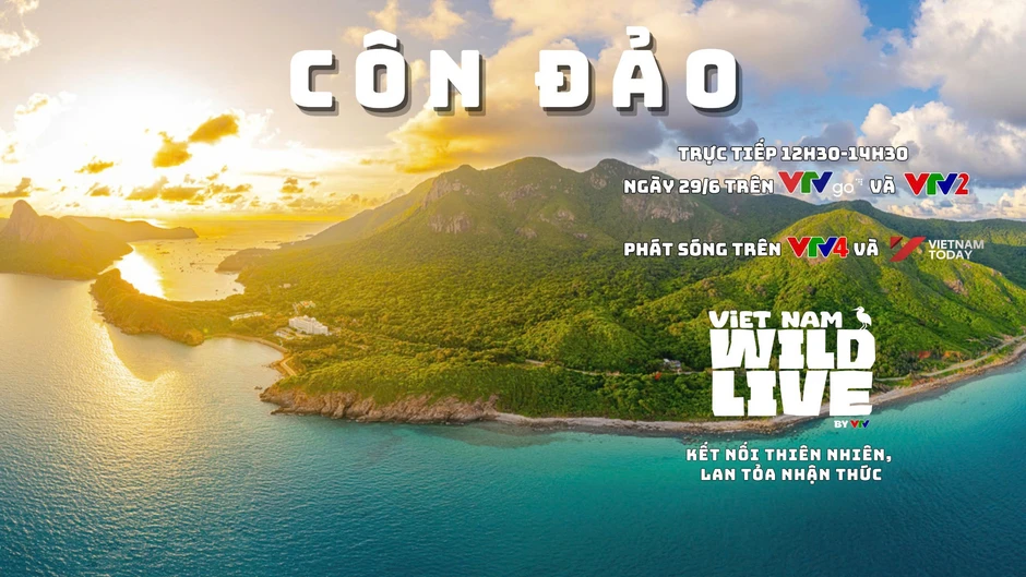Khoảnh khắc đẹp tuần qua (22-28/6): Những người âm thầm gìn giữ sự sống Khoảnh khắc đẹp tuần qua (22-28/6): Những người âm thầm gìn giữ sự sống