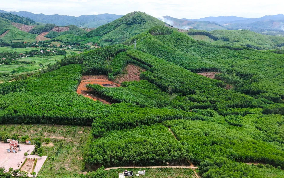 Khoanh vùng 3 vị trí nghi có hố chôn liệt sĩ Khoanh vùng 3 vị trí nghi có hố chôn liệt sĩ