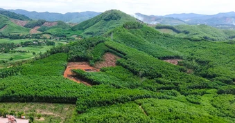 Khoanh vùng 3 vị trí nghi có hố chôn liệt sĩ