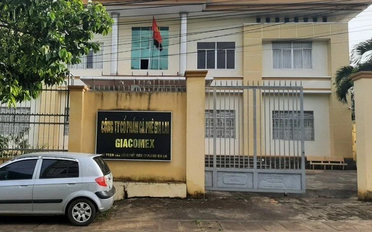 Khởi tố 3 bị can 'bỏ quên' 4.456 cây muồng khi cổ phần hóa Công ty Cà phê Gia Lai Khởi tố 3 bị can 'bỏ quên' 4.456 cây muồng khi cổ phần hóa Công ty Cà phê Gia Lai