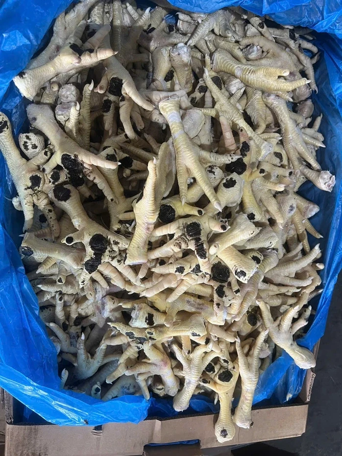 Khởi tố nữ chủ doanh nghiệp buôn lậu hàng chục ngàn tấn chân gà đông lạnh Khởi tố nữ chủ doanh nghiệp buôn lậu hàng chục ngàn tấn chân gà đông lạnh