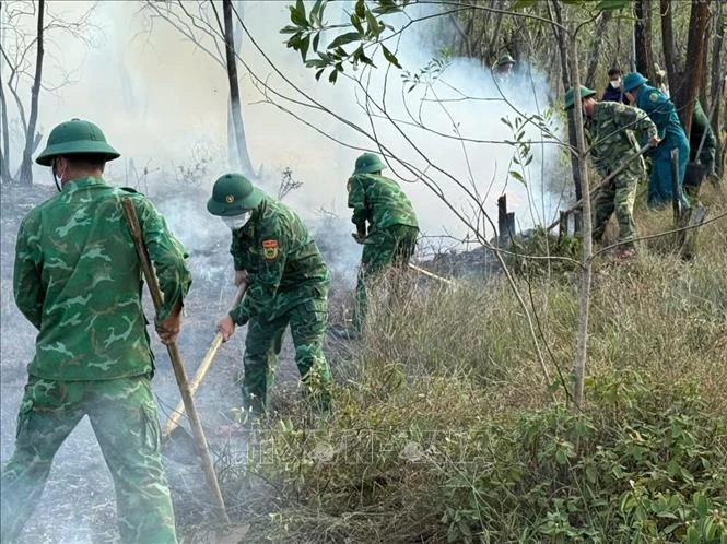 Khống chế, dập tắt kịp thời vụ cháy rừng phòng hộ tại xã Nam Cửa Việt Khống chế, dập tắt kịp thời vụ cháy rừng phòng hộ tại xã Nam Cửa Việt