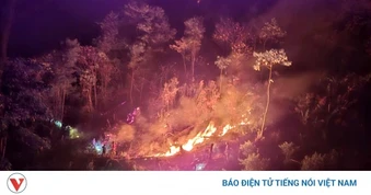 Khống chế kịp thời cháy rừng phòng hộ tại Tân Uyên