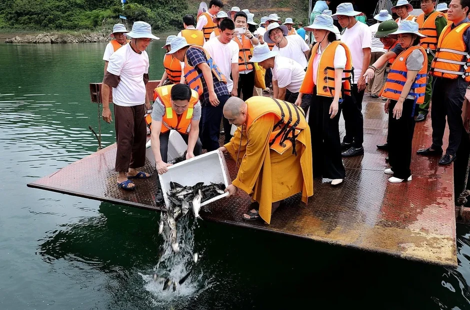 Không thu gom động vật số lượng lớn để phóng sinh Không thu gom động vật số lượng lớn để phóng sinh