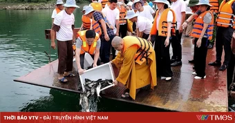 Không thu gom động vật số lượng lớn để phóng sinh