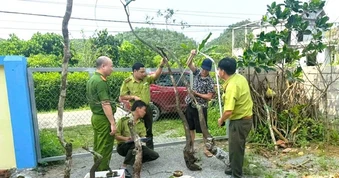 Kiểm lâm Ninh Bình xử lý 8 vụ khai thác, tàng trữ cây muội hồng, phạt 45 triệu đồng
