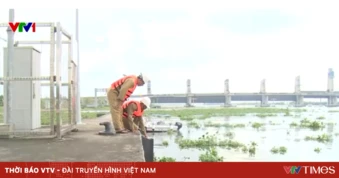 Kiểm soát mặn, giữ ngọt hiệu quả nhờ các công trình thủy lợi trọng điểm