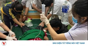 Kịp thời cứu sống người phụ nữ nguy kịch khi ăn lá ngón