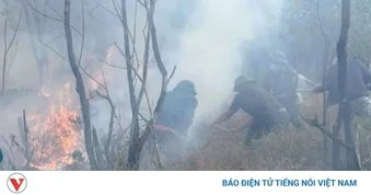 Kịp thời dập tắt vụ cháy rừng phòng hộ ở Quảng Trị